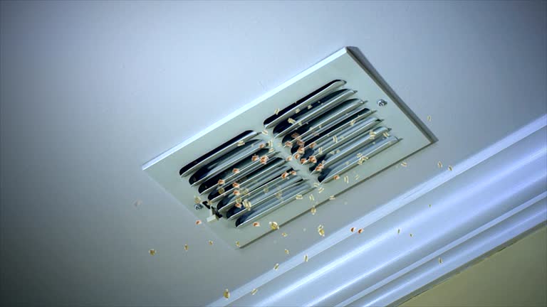 Best Ventilation Cleaning Services  in Spring Valley Village, TX